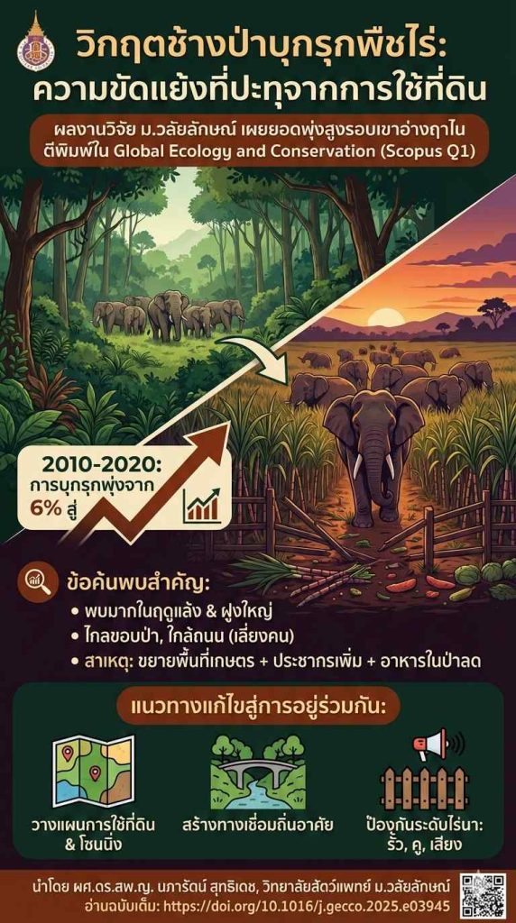 ช้างป่าบุกรุกพืชไร่เพิ่มขึ้นต่อเนื่องในไทย จากการเปลี่ยนแปลงการใช้ที่ดิน