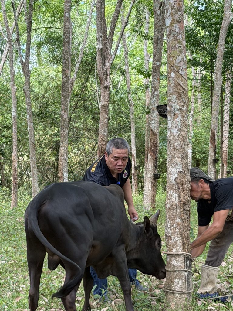 ค่ายสัตวแพทย์อาสาครั้งที่ 2 เดินหน้าลงพื้นที่จริง พัฒนาทักษะและจิตอาสานักศึกษา