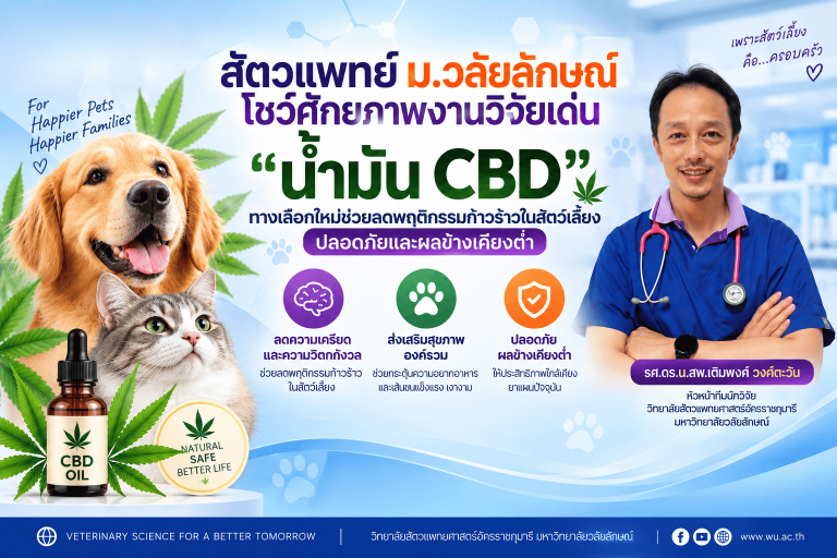 สัตวแพทย์ ม.วลัยลักษณ์ โชว์ศักยภาพงานวิจัยเด่น ✨ “น้ำมัน CBD” ทางเลือกใหม่ ช่วยลดพฤติกรรมก้าวร้าวในสัตว์เลี้ยง