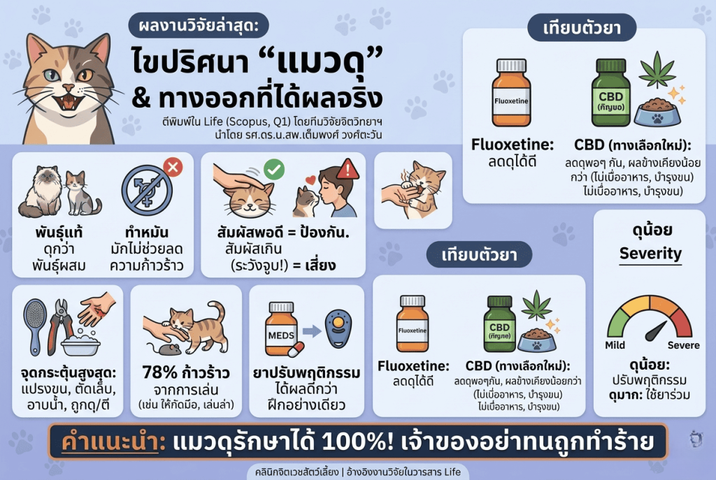 แนวทางการวินิจฉัยและรักษาพฤติกรรมก้าวร้าวในแมว