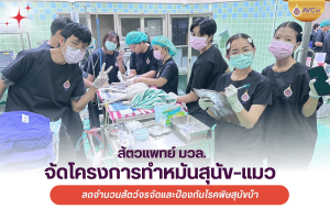 วิทยาลัยสัตวแพทย์ฯ จัดโครงการทำหมันสุนัข–แมว รอบเก็บตก ลดจำนวนสัตว์จรจัดและป้องกันโรคพิษสุนัขบ้า