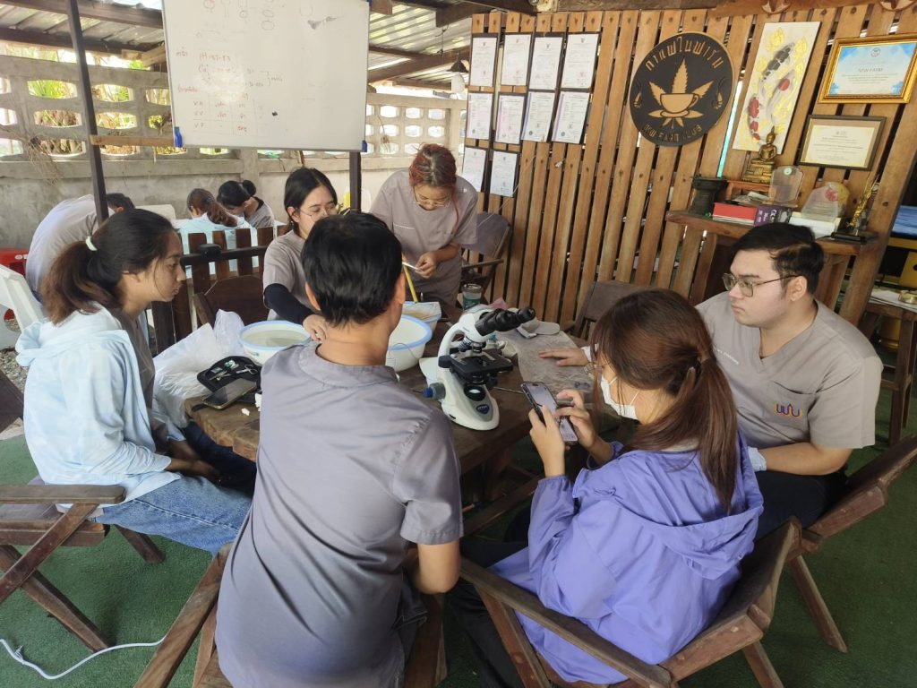 Fifth-year veterinary students have commenced their clinical rotation in marine shrimp health and production, gaining invaluable hands-on experience at the renowned NSW Shrimp Farm.