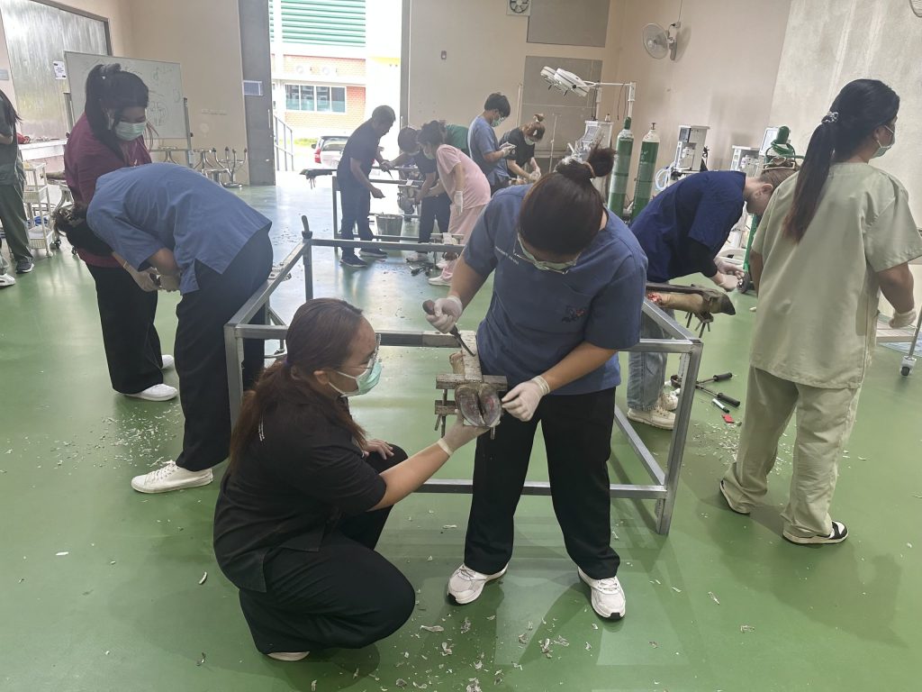 Fourth Year Veterinary Students Enhance Their Large Animal Surgery Skills Through Intensive Hands-on Bovine Hoof Trimming Practice