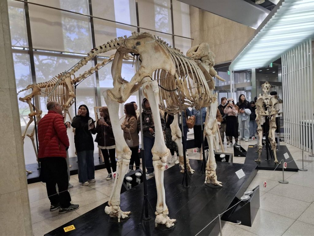 AVC Students Broaden Their International Learning Experience at Nihon University, Japan