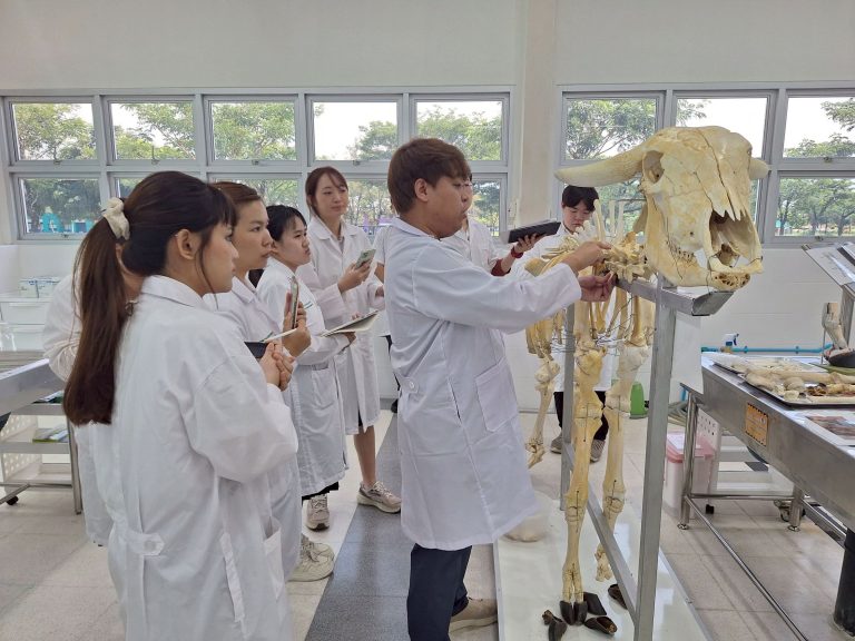 Learning from Real Specimens: Second-Year Veterinary Students Study the Skeletal Anatomy of Diverse Animal Species