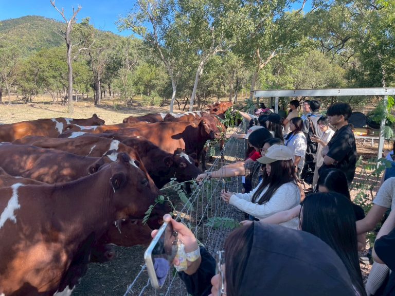 Fourth-Year Walailak Veterinary Students Visit James Cook University, Australia, to Build International Professional Experience
