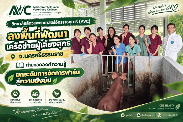 วิทยาลัย/สัตวแพทยศาสตร์อัครราชกุมารี (AVC) ลงพื้นที่พัฒนาเครือข่ายผู้เลี้ยงสุกร จ.นครศรีธรรมราช ถ่ายทอดองค์ความรู้ ยกระดับการจัดการฟาร์มสู่ความยั่งยืน
